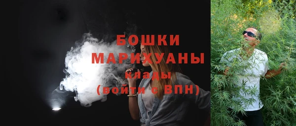 Альфа ПВП Белокуриха