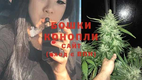 Альфа ПВП Белокуриха