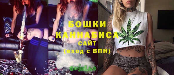 Альфа ПВП Белокуриха