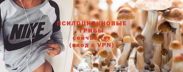Альфа ПВП Белокуриха